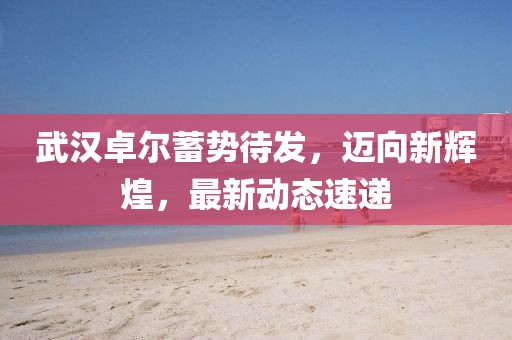 武汉卓尔蓄势待发，迈向新辉煌，最新动态速递