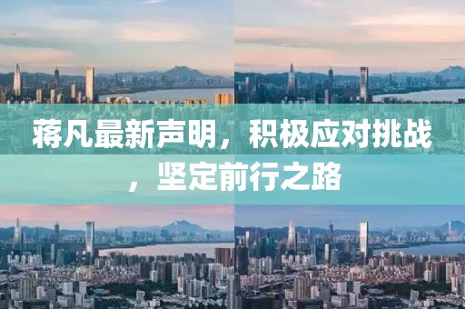 蒋凡最新声明，积极应对挑战，坚定前行之路