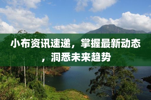 小布资讯速递，掌握最新动态，洞悉未来趋势