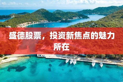 盛德股票，投资新焦点的魅力所在