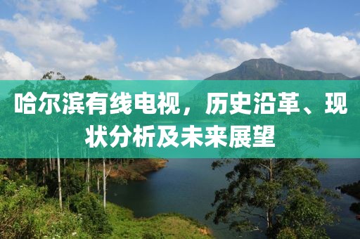 哈尔滨有线电视，历史沿革、现状分析及未来展望