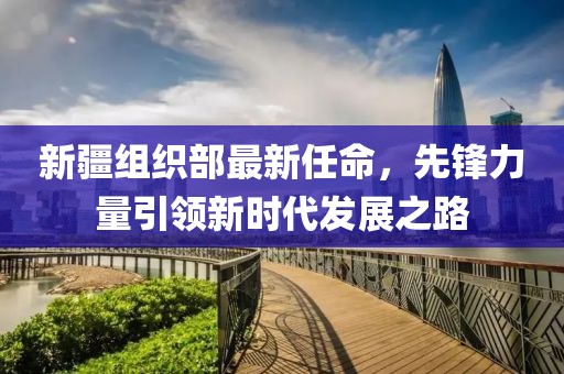 新疆组织部最新任命，先锋力量引领新时代发展之路