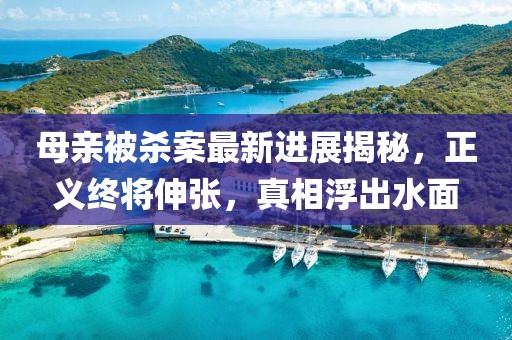 母亲被杀案最新进展揭秘，正义终将伸张，真相浮出水面