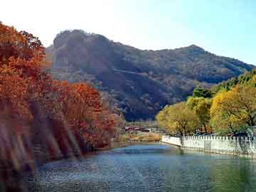 北辰区刘安庄最新招聘动态及其地区影响概览
