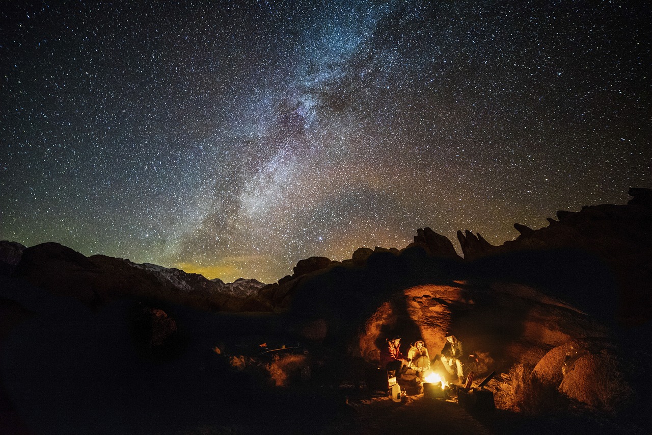 二哈动漫，激情与奇幻之旅的探险世界