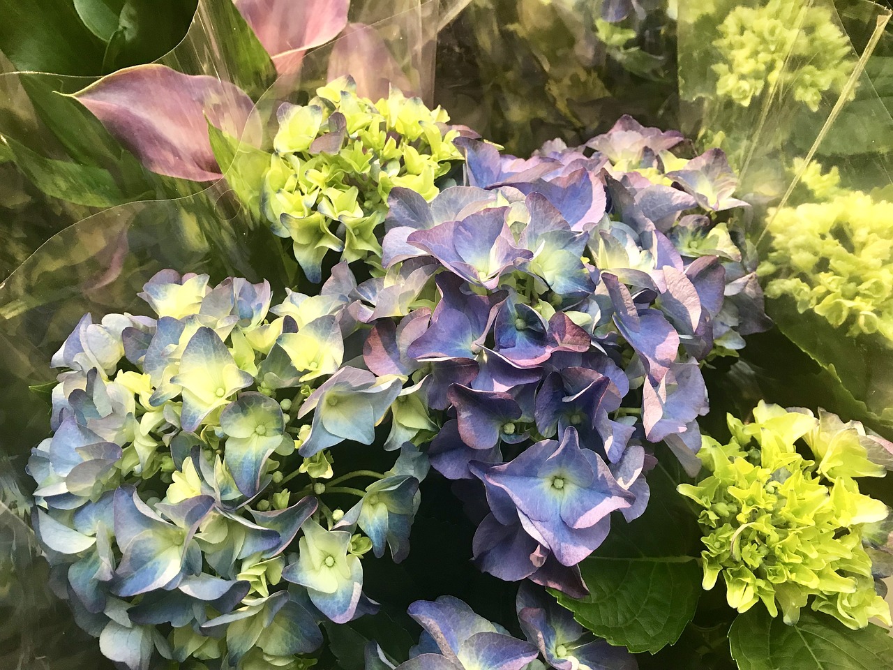 飘逸的云 第14页