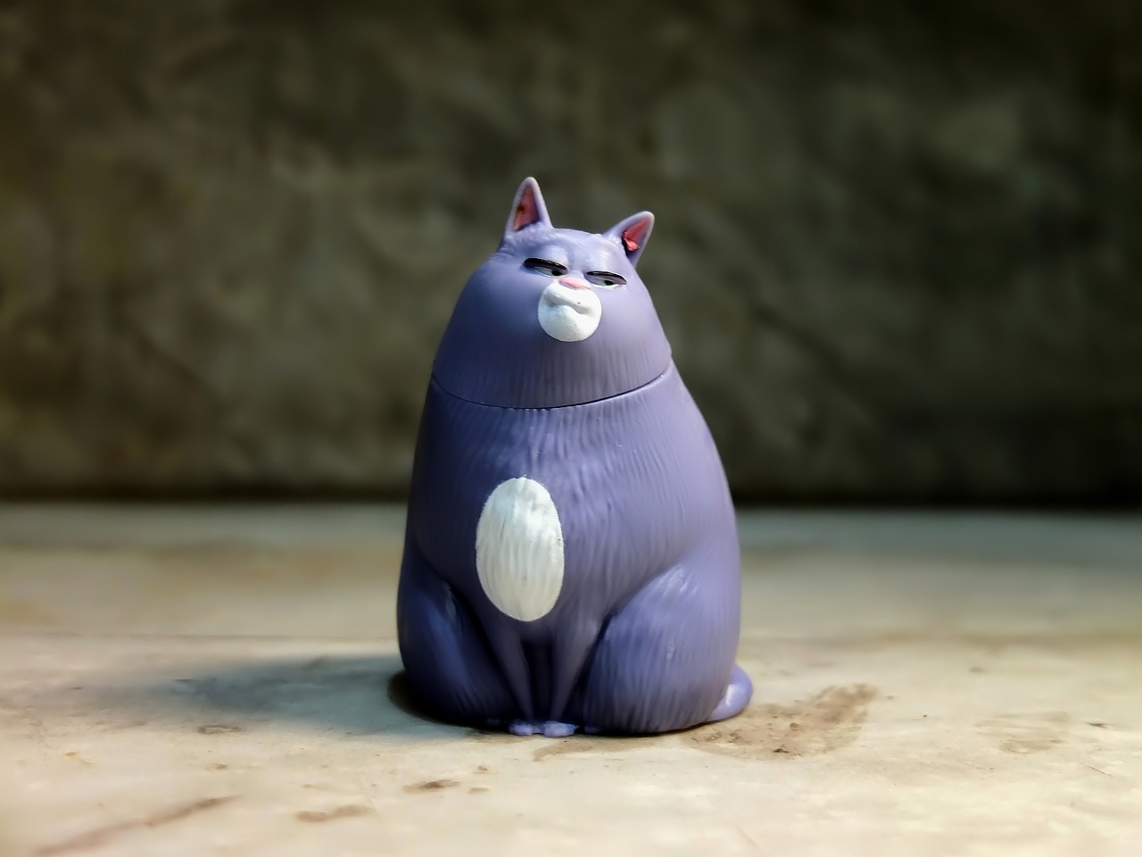 捕捉猫咪魔法魅力，银幕上的猫咪电影之旅