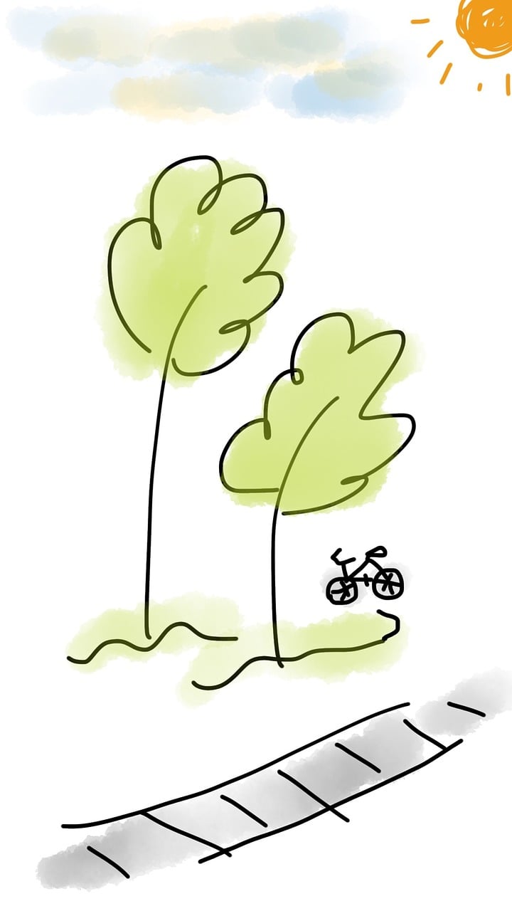 日照北京路小学最新动态更新