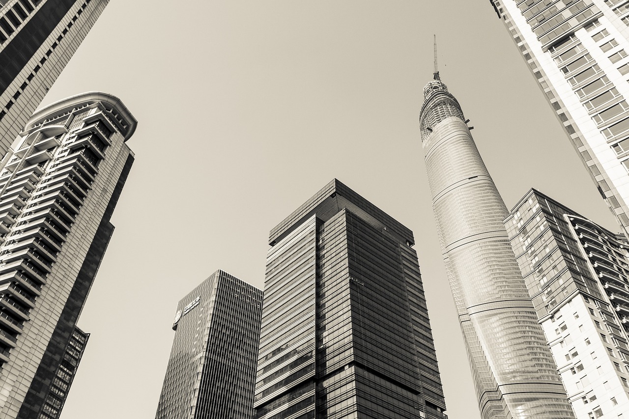 上海紫铜价格动态分析与最新行情概述