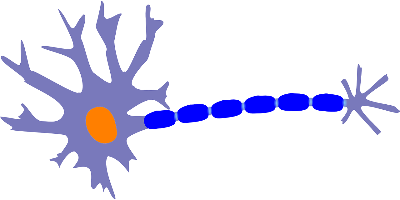ST生物最新进展引领生命科学新篇章