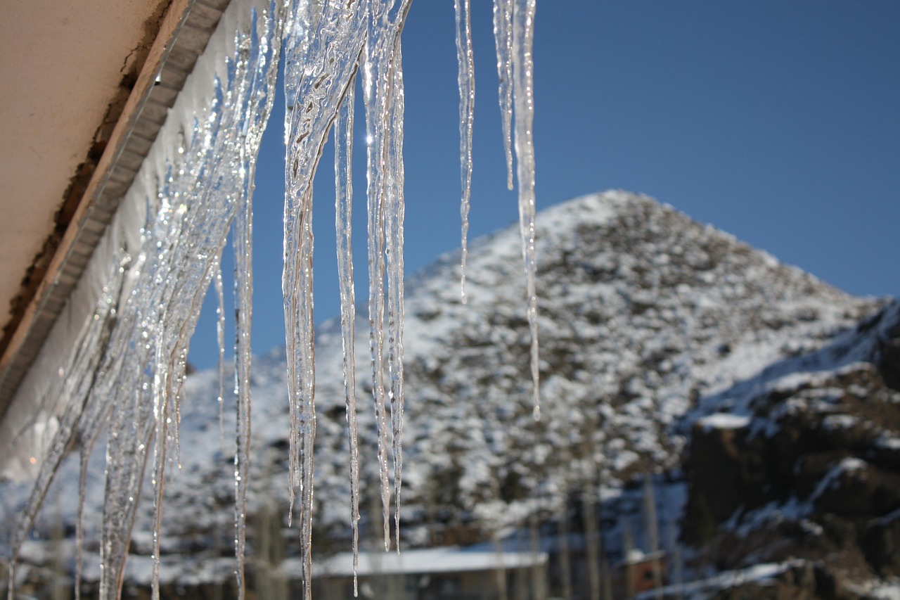电影林海雪原演员表概览