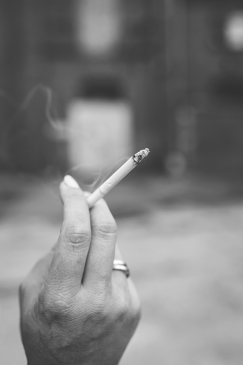 烟的世界揭秘，种类繁多的烟草与价格百态