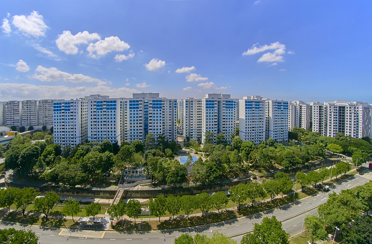 商丘东方塞纳最新住宅价格揭秘，市场趋势与深度解析