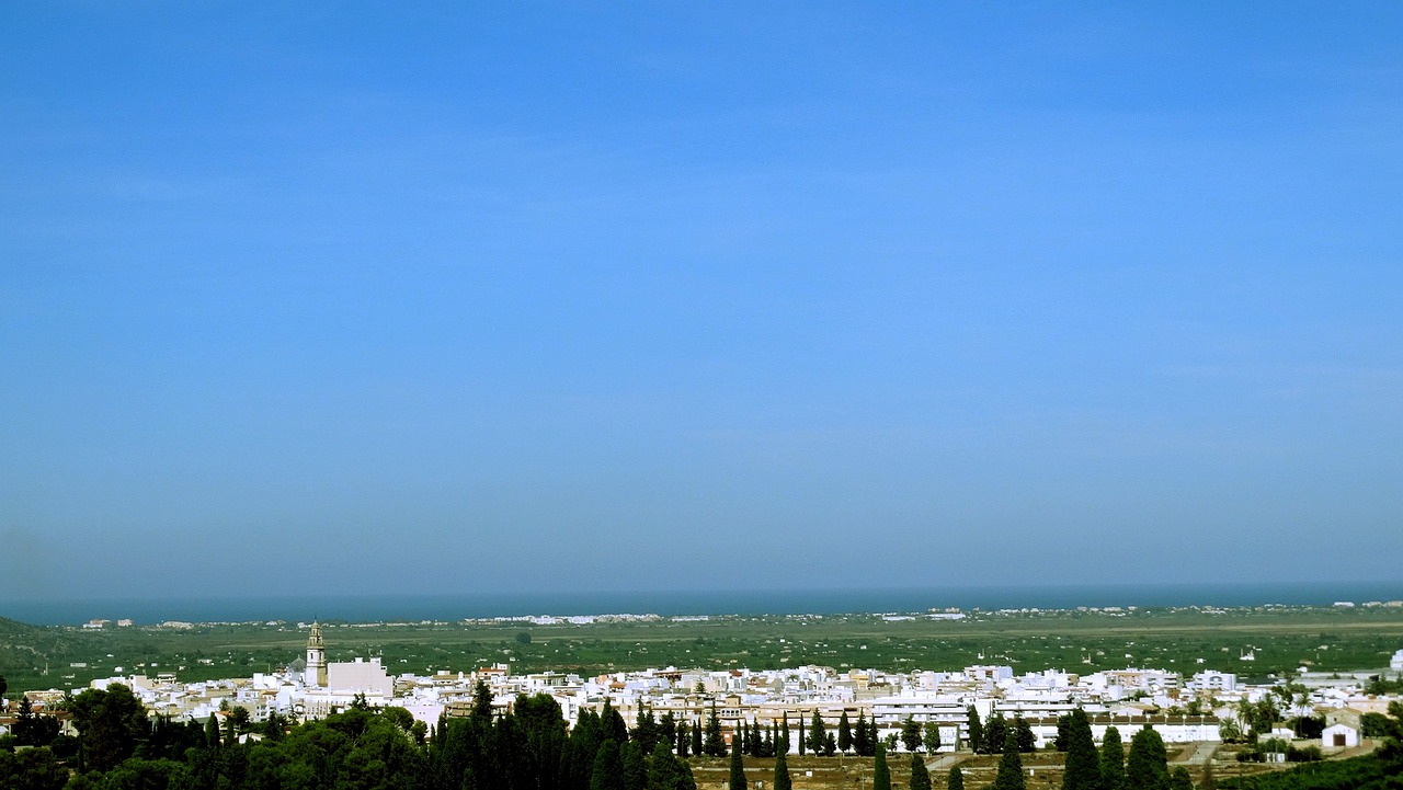 宁波网约车市场最新动态概览