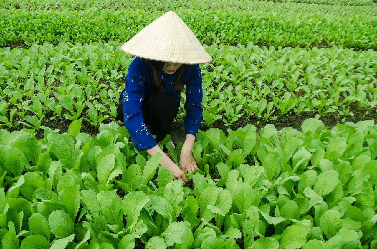 吴昕最新动态，多元发展的闪耀之星