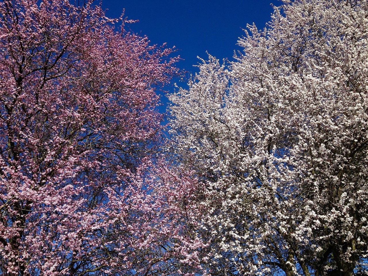 2025年4月25日