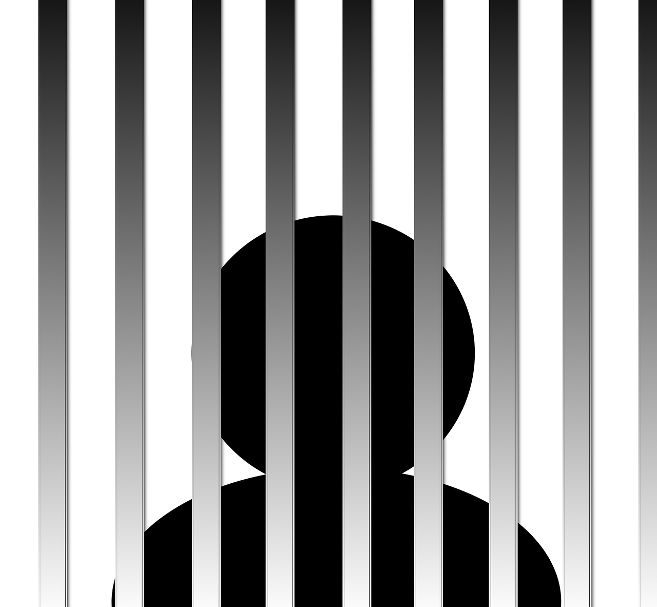最新全面禁捕规定及其深度解读