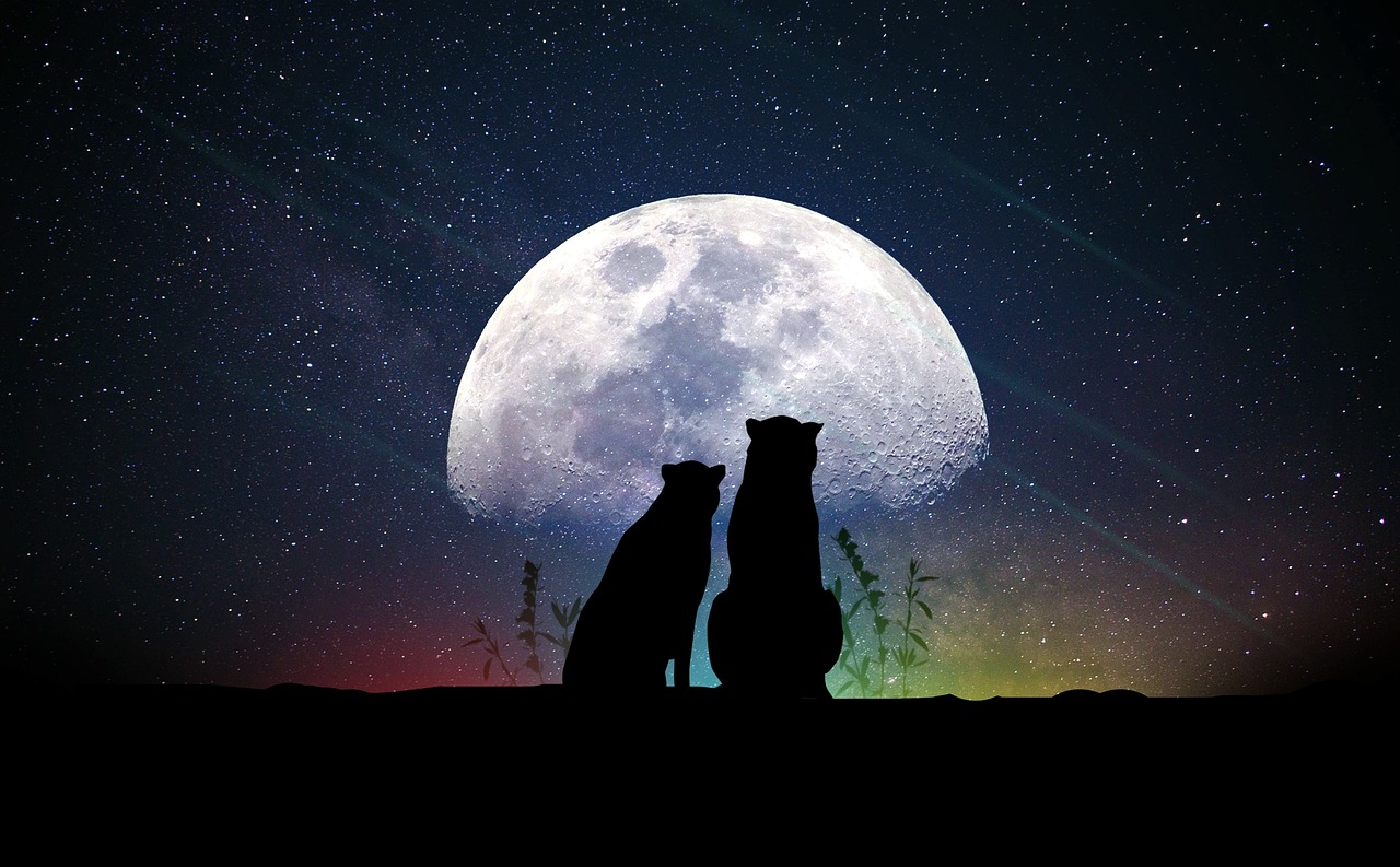 窥探明星童年照，时光倒流，星路历程的起点探索