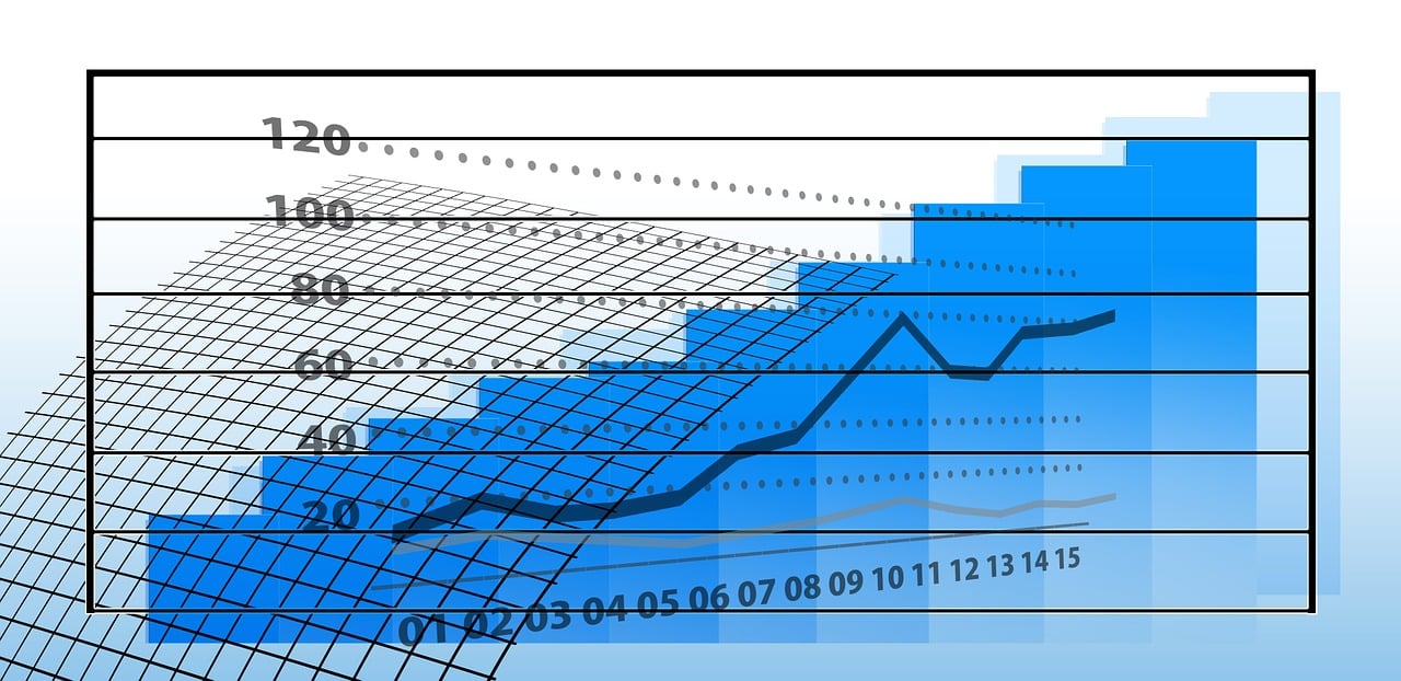 基金最新持仓深度解析，洞悉最新动态与策略调整