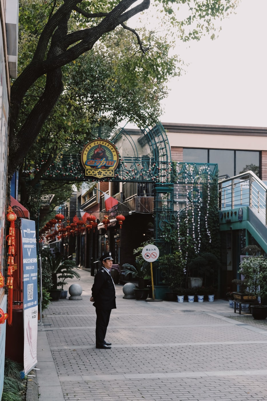 淄博市最新版地图探索城市新面貌