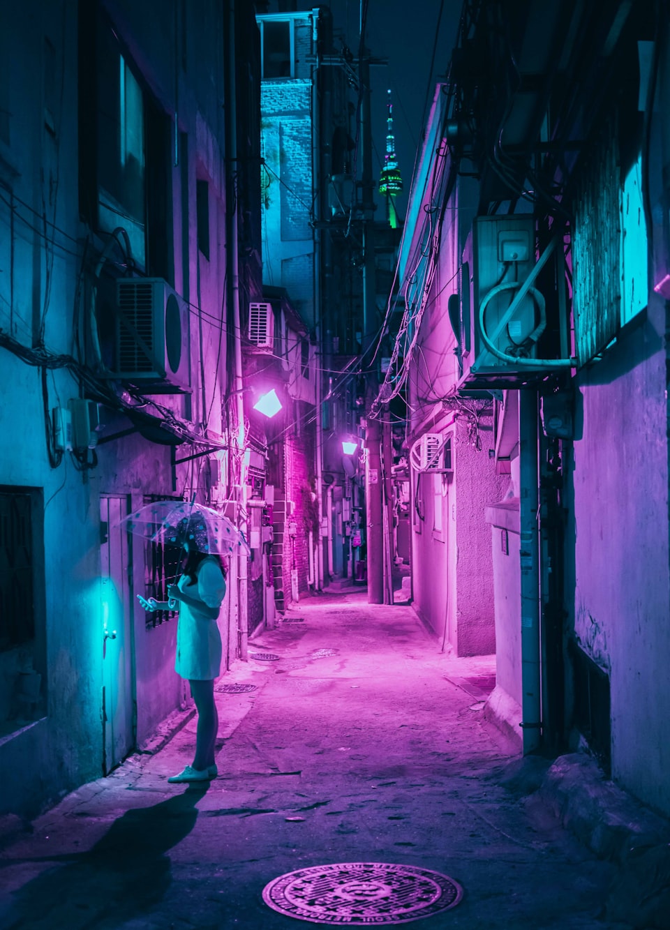 韩国电影瓣坛枫，探索之路与启示之光