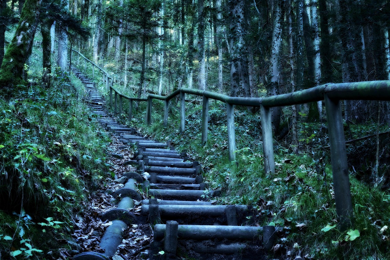 最新迷踪，未知神秘之旅的探险之旅