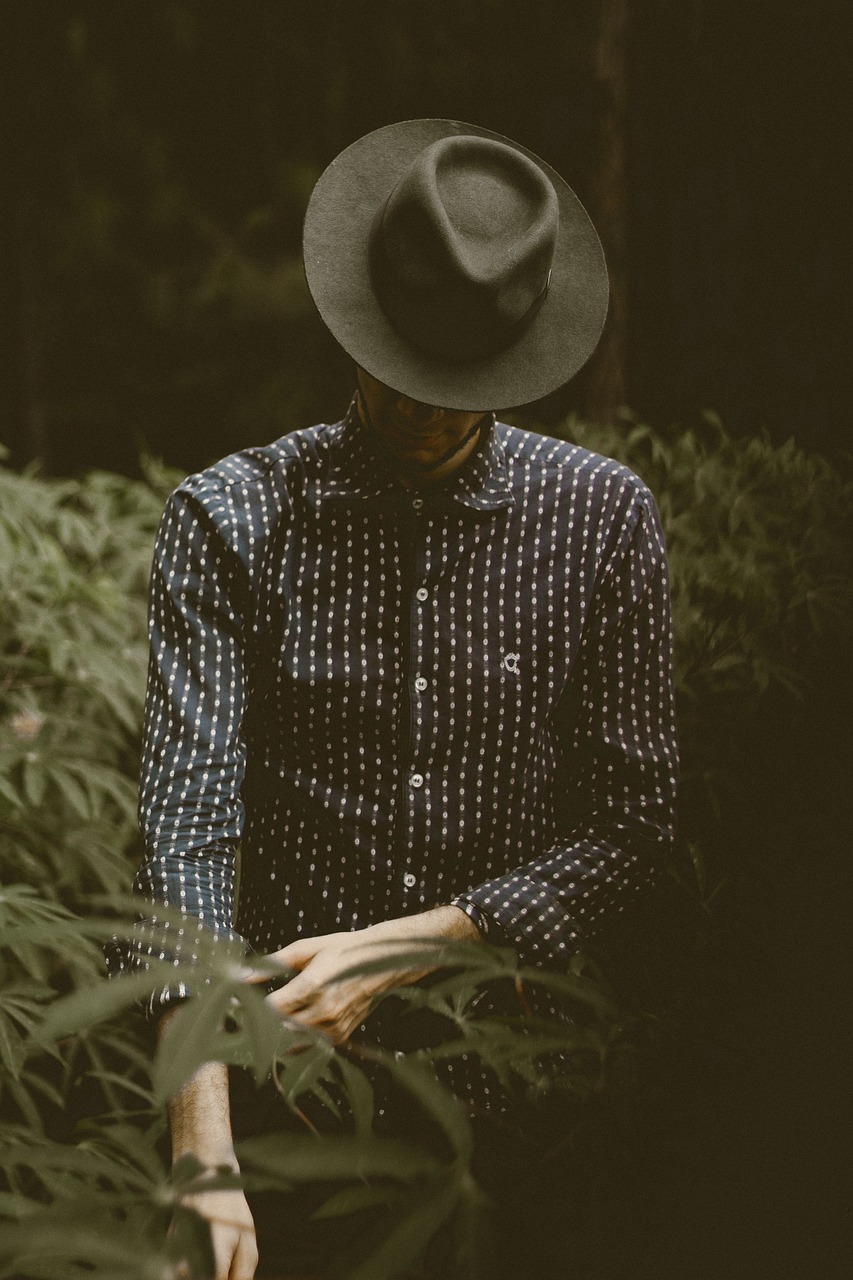 娱乐圈真相揭秘，明星背后的黑暗与反思