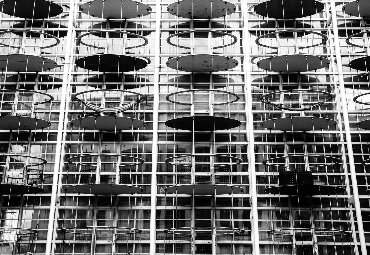 稻谷最新价格行情分析与趋势预测