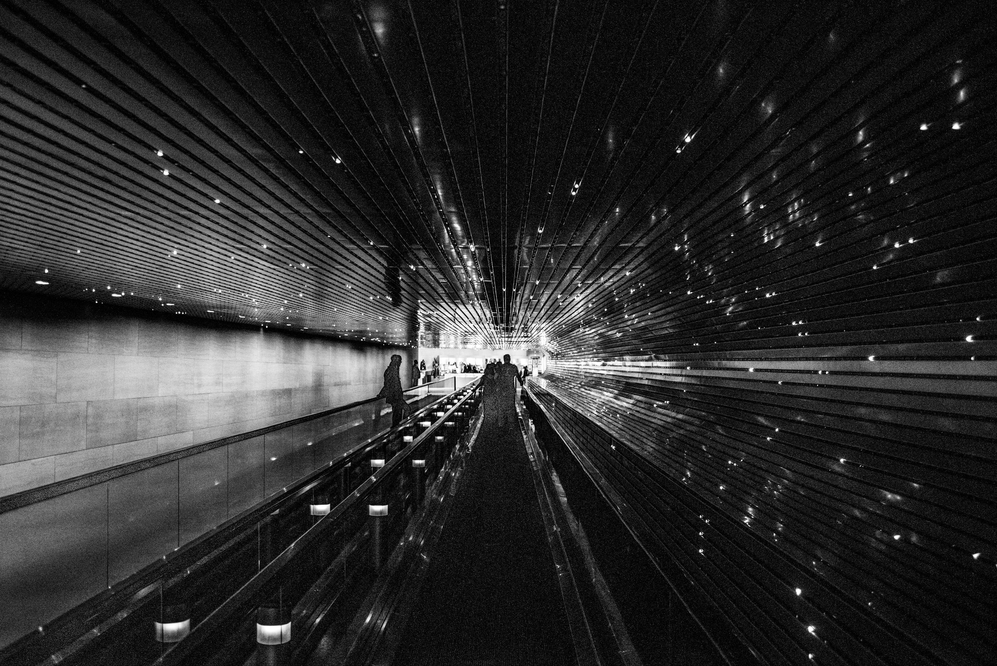 老鹰资源更新与再生,探索可持续未来的关键之道