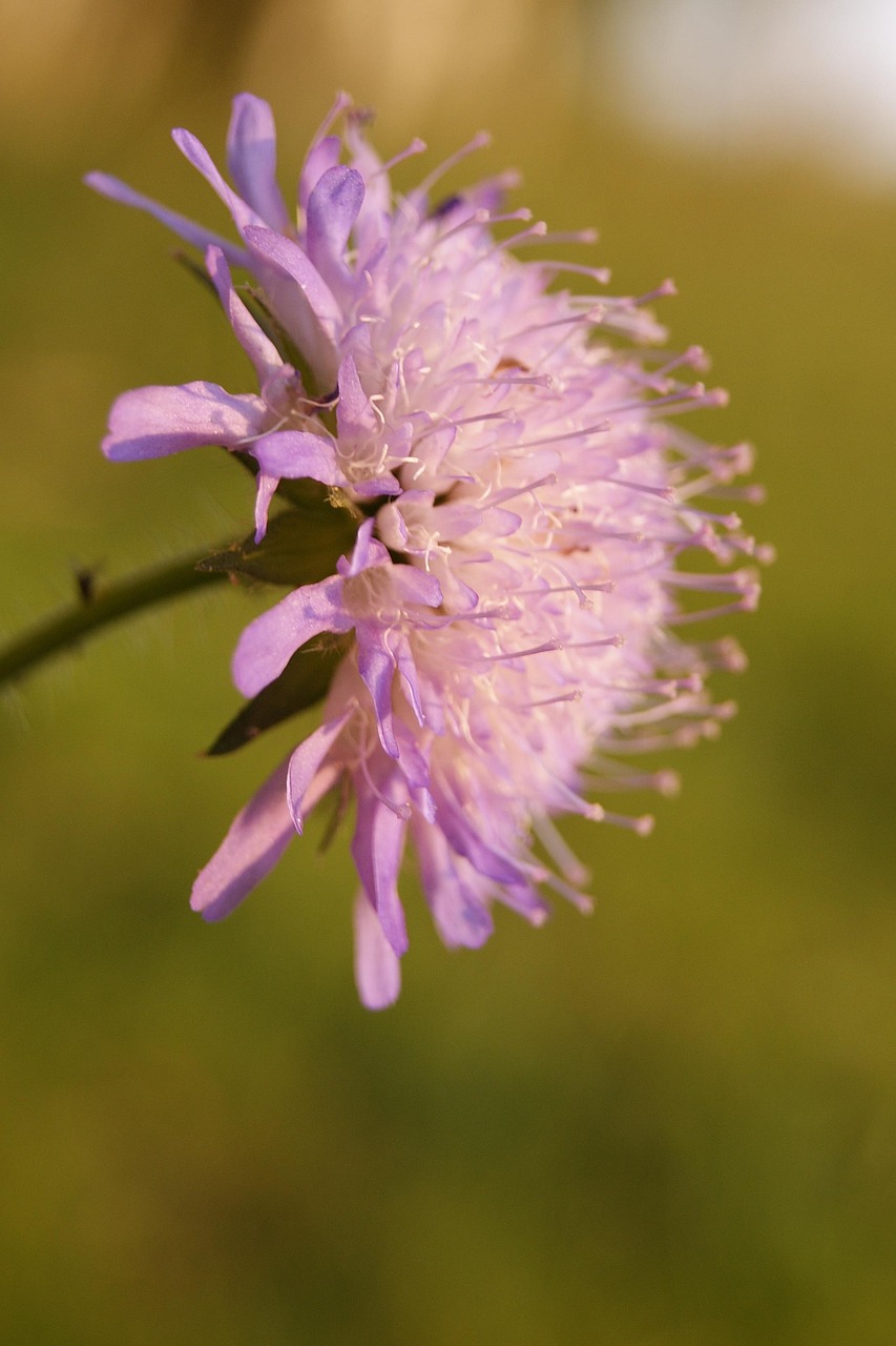 最新禽业资讯网,引领禽业发展的前沿信息平台动态