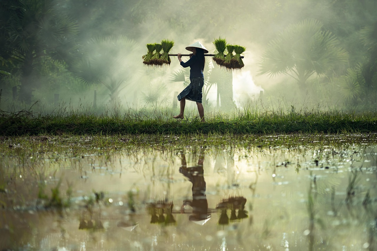 合唱比赛总结回顾,收获、反思与未来展望之路