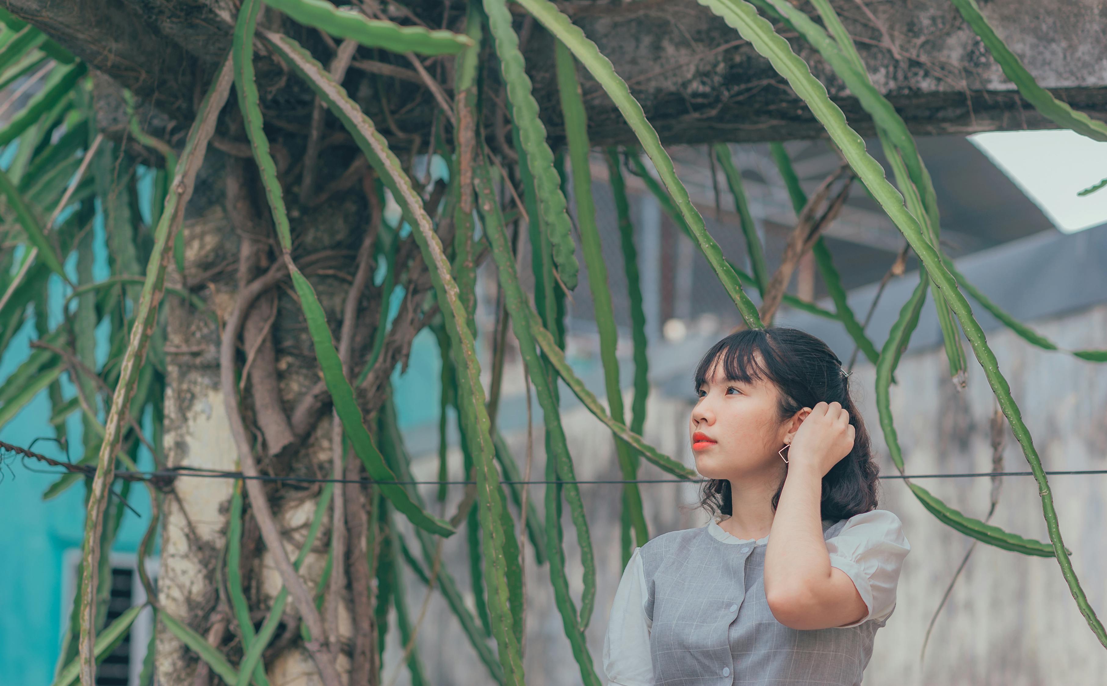 动漫古风女生图片的魅力与影响力