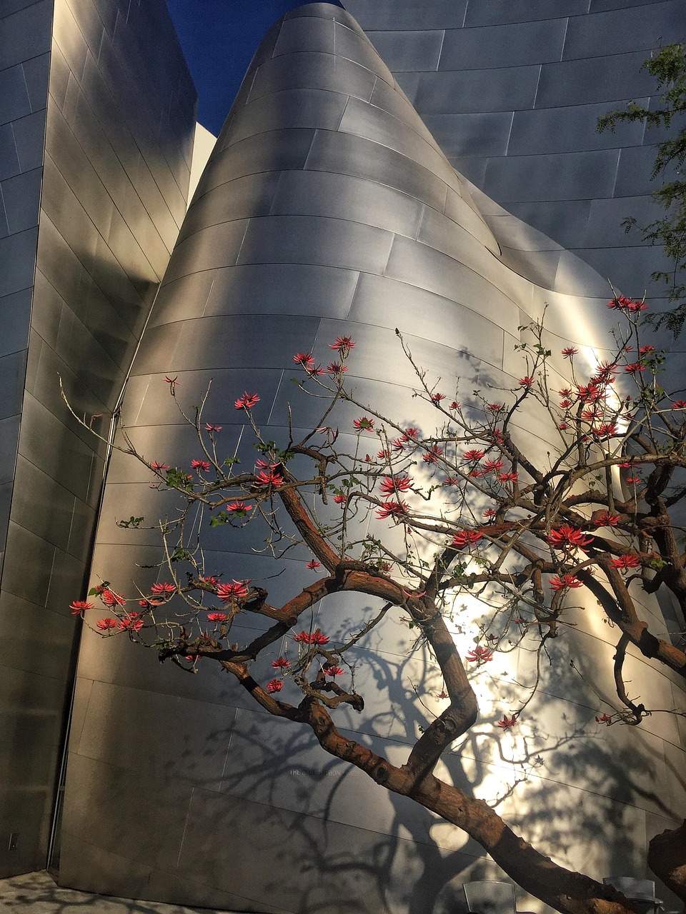 广纸新城最新动态，城市前沿发展展望与未来揭秘