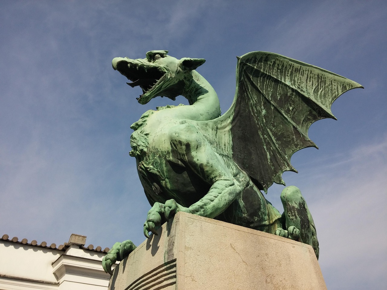 新中基股票最新消息深度解析与动态关注