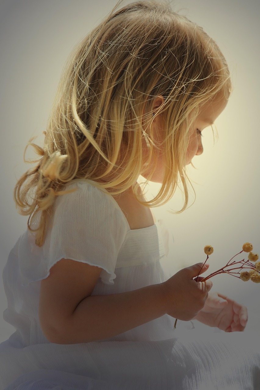 赵雅芝最新动态,优雅魅力不减当年