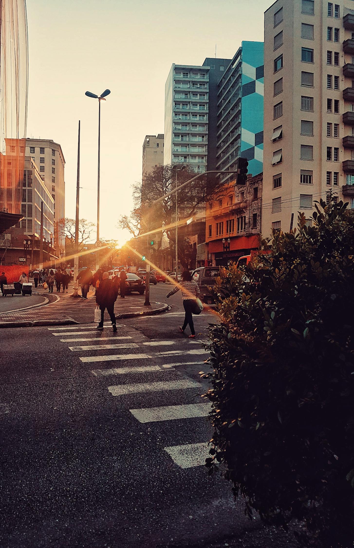 钦州钦北新城蓬勃发展,最新动态揭示城市新核心崛起