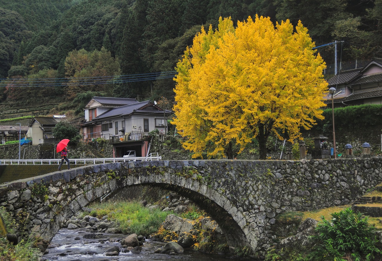 淮安赵集镇王立波最新动态,乡村振兴与地方发展的前沿观察纪实