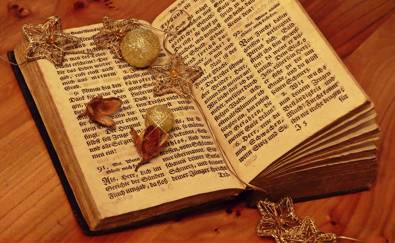 最新版语文重塑语言魅力,焕发语言之美