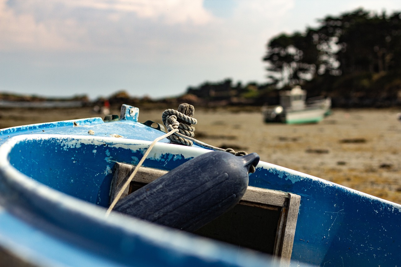 苏州最新疫情动态,全面应对,守护家园安宁