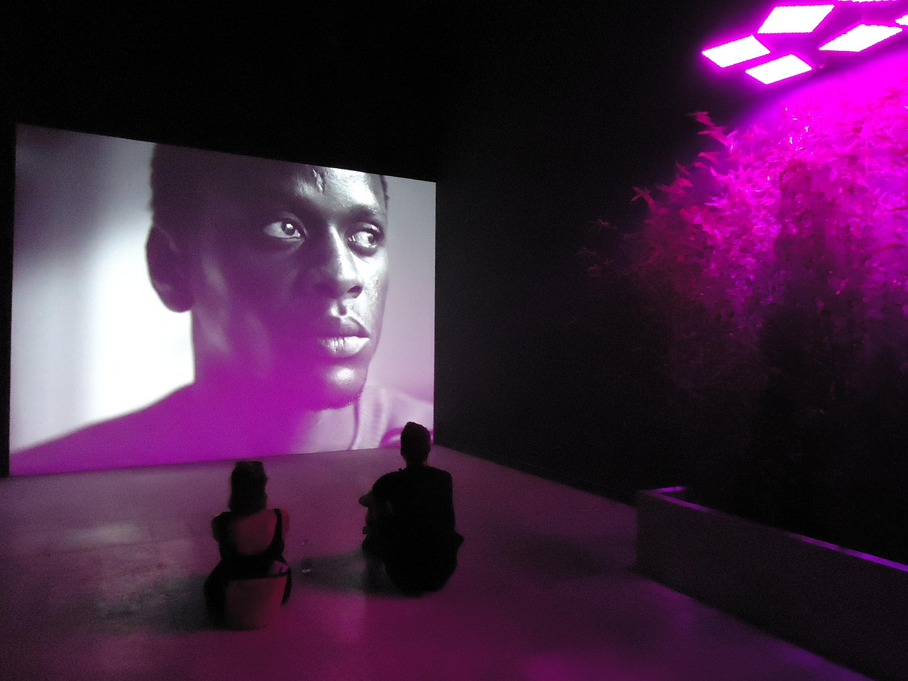 风花电影网,电影爱好者的梦幻乐园