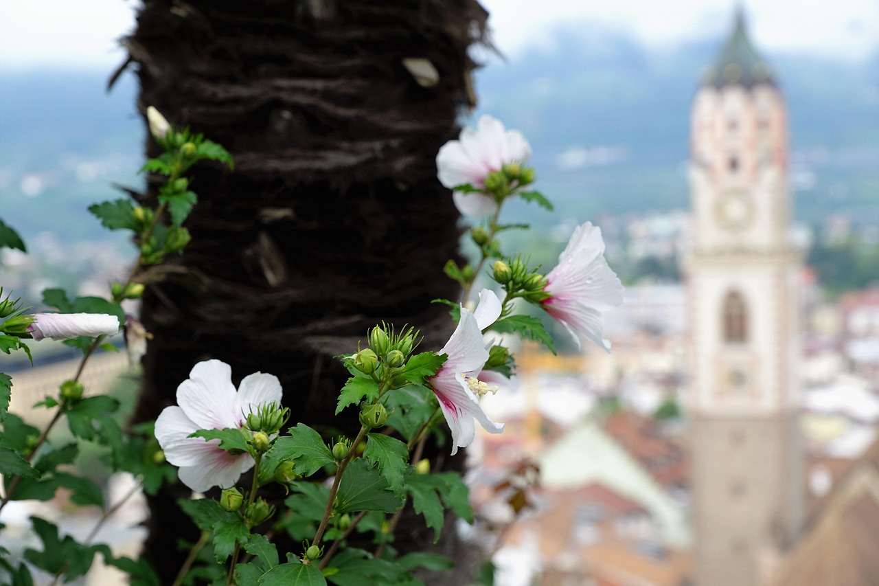 宁波富达股票动态及市场走势与前景展望