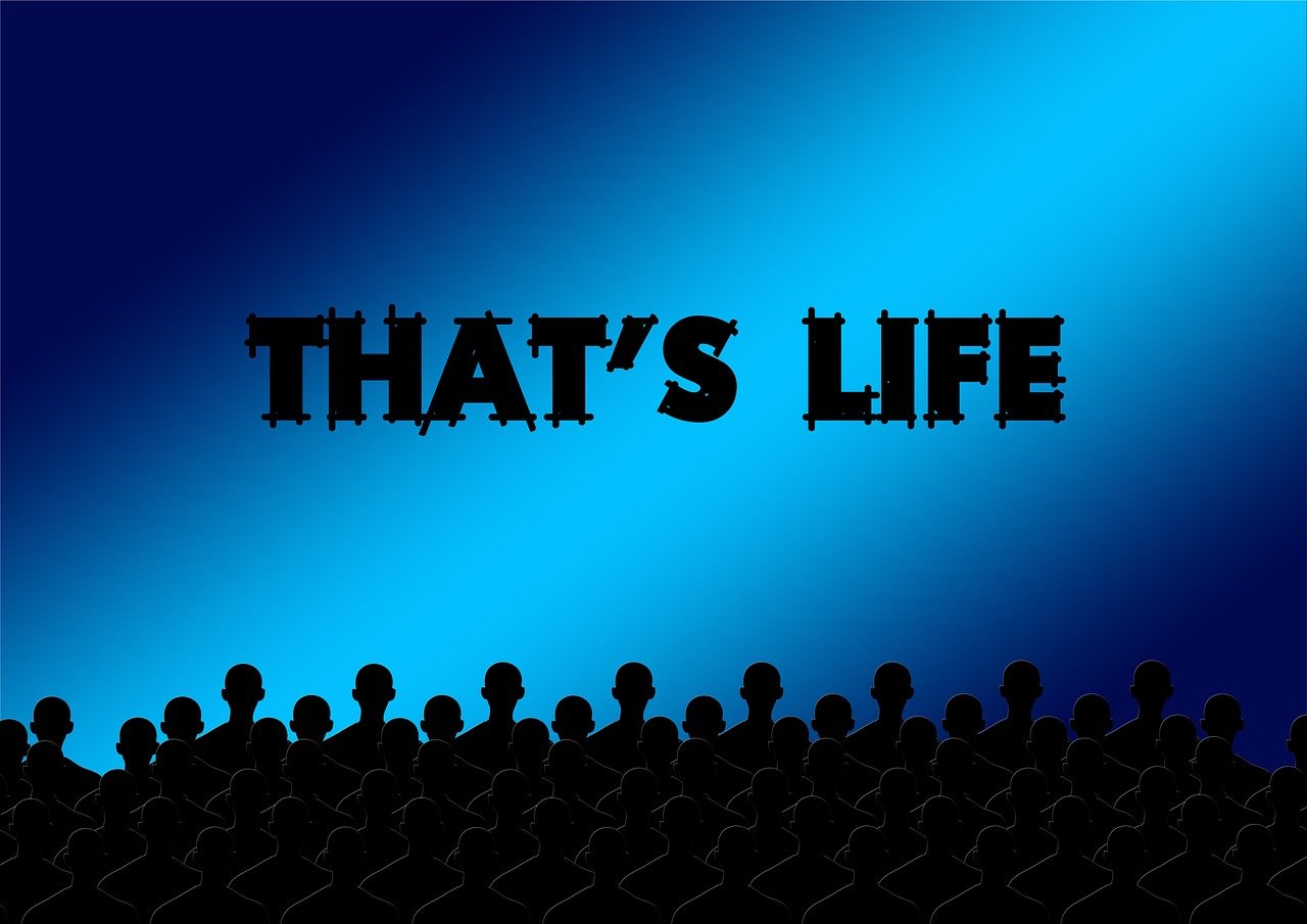 最新电影推荐,影视艺术的魅力盛宴