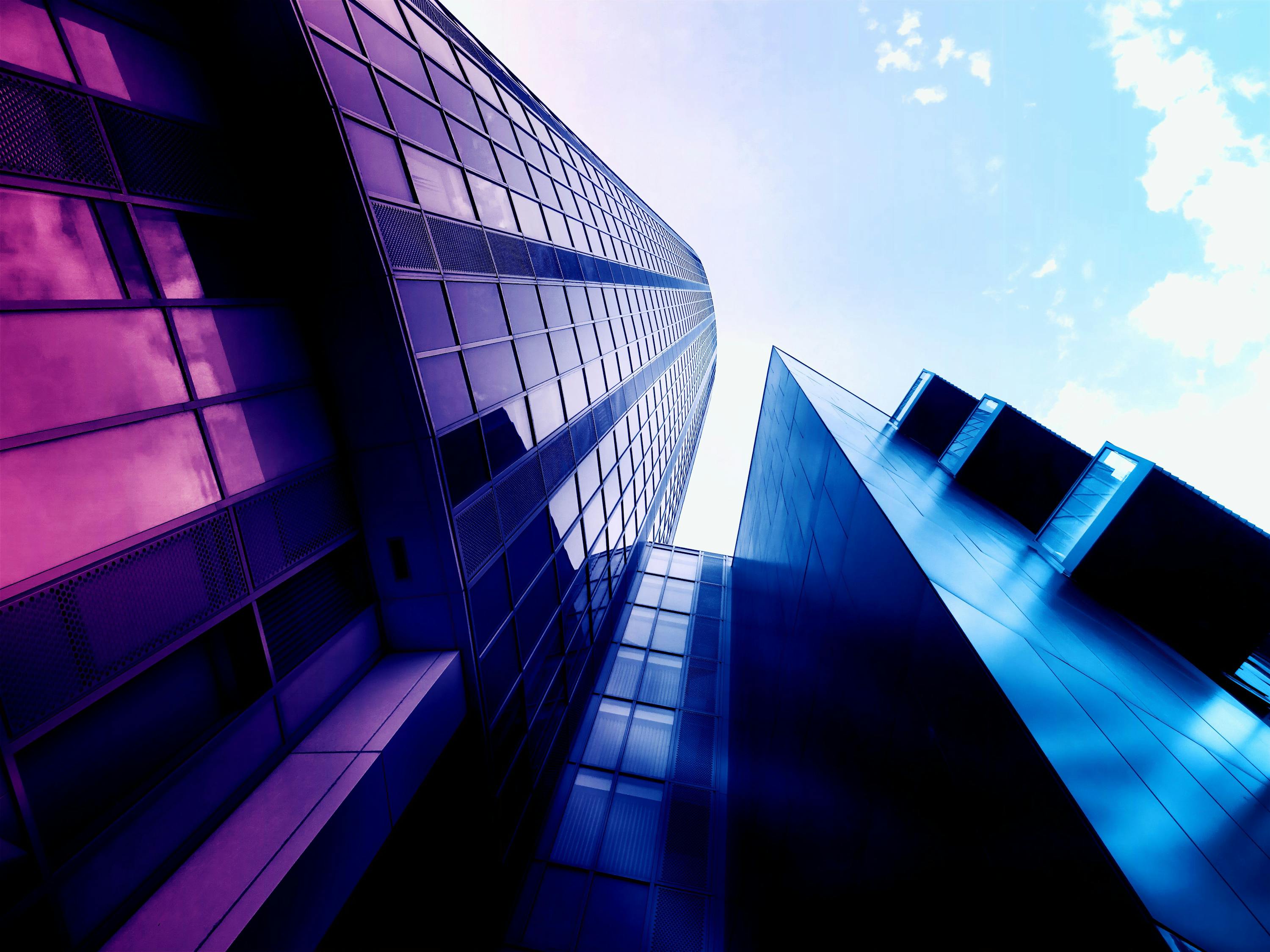 全球视野下的最新入境限制动态,政策调整及其影响分析