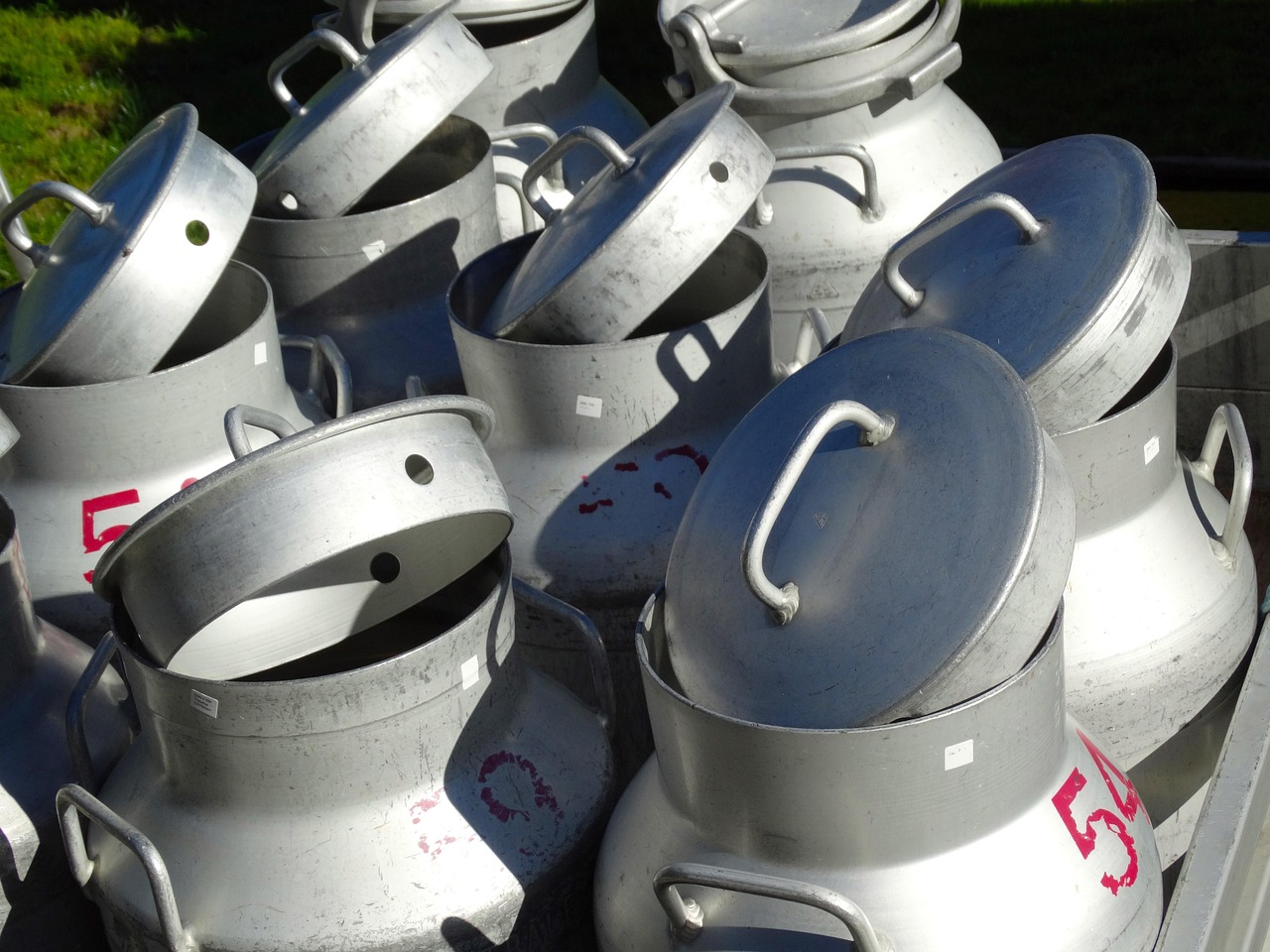 最新奶粉大包粉价格动态分析与趋势预测