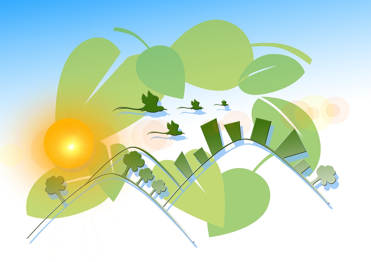 朴叙俊近期资讯概览,最新动态与活动报道