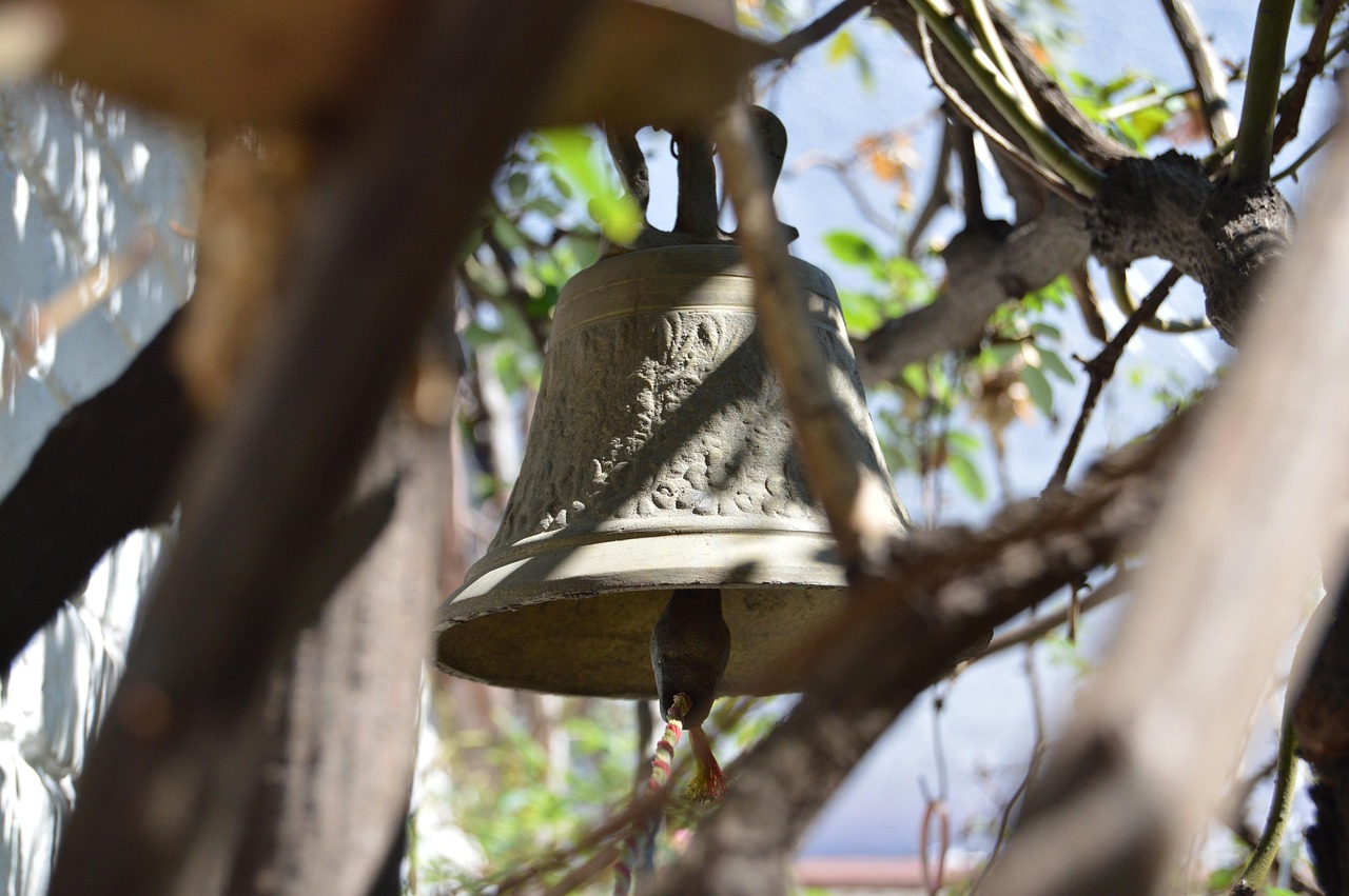金属钯价格行情深度分析,市场动态与趋势预测