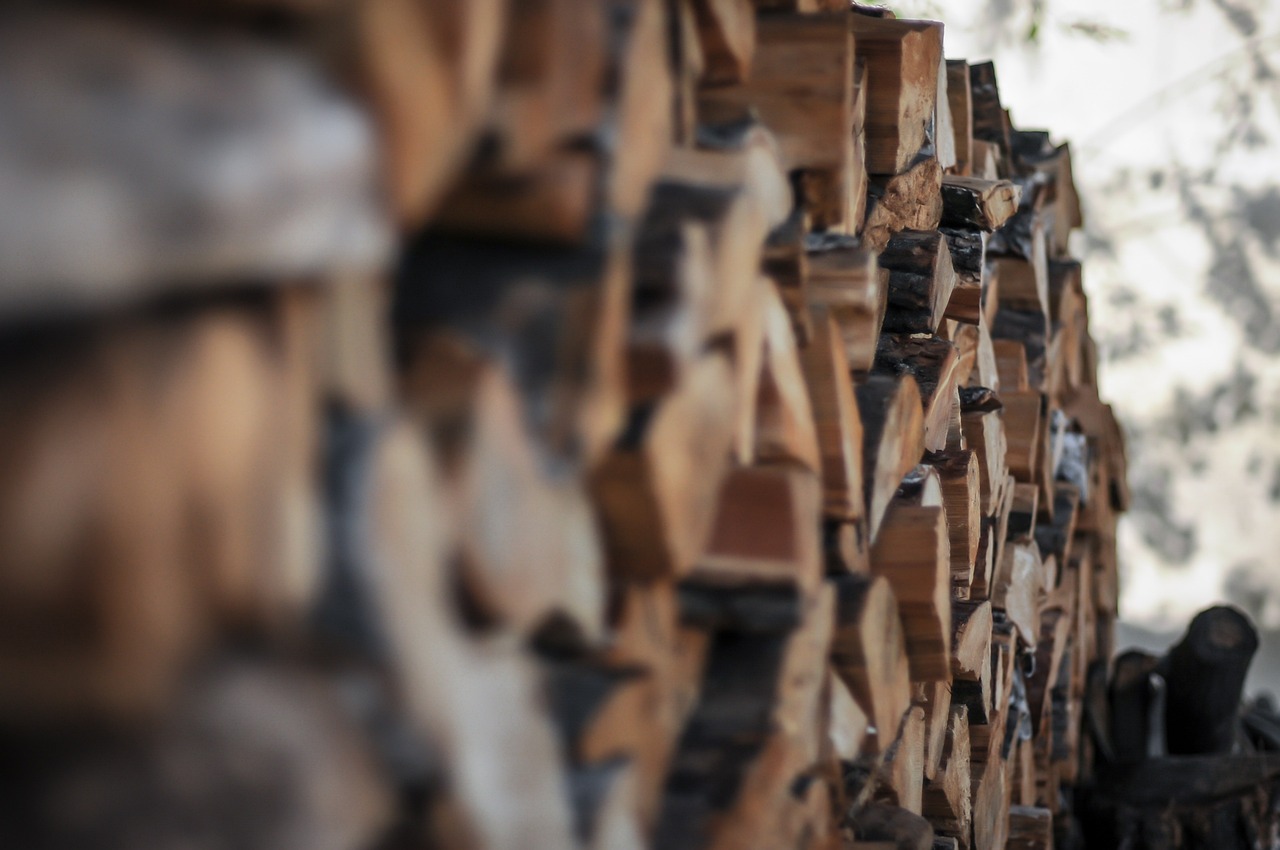 明星情侣分手背后的爱情与现实冲突