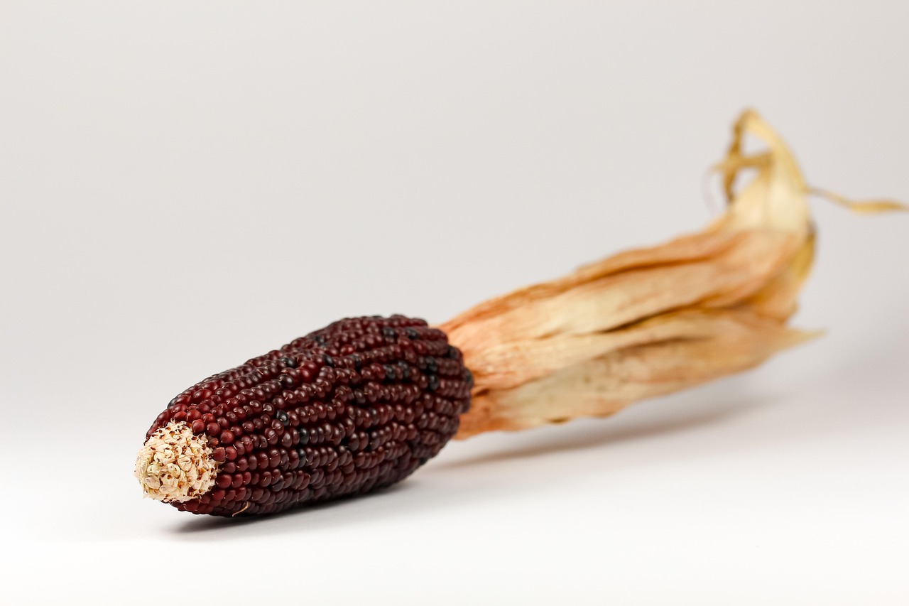 京山动态，自然美景与文化底蕴的交融探秘之旅