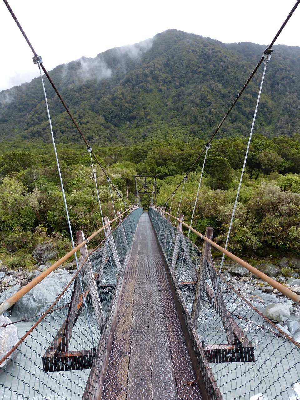 胃病疫苗研究最新动态,突破与挑战的并存之路