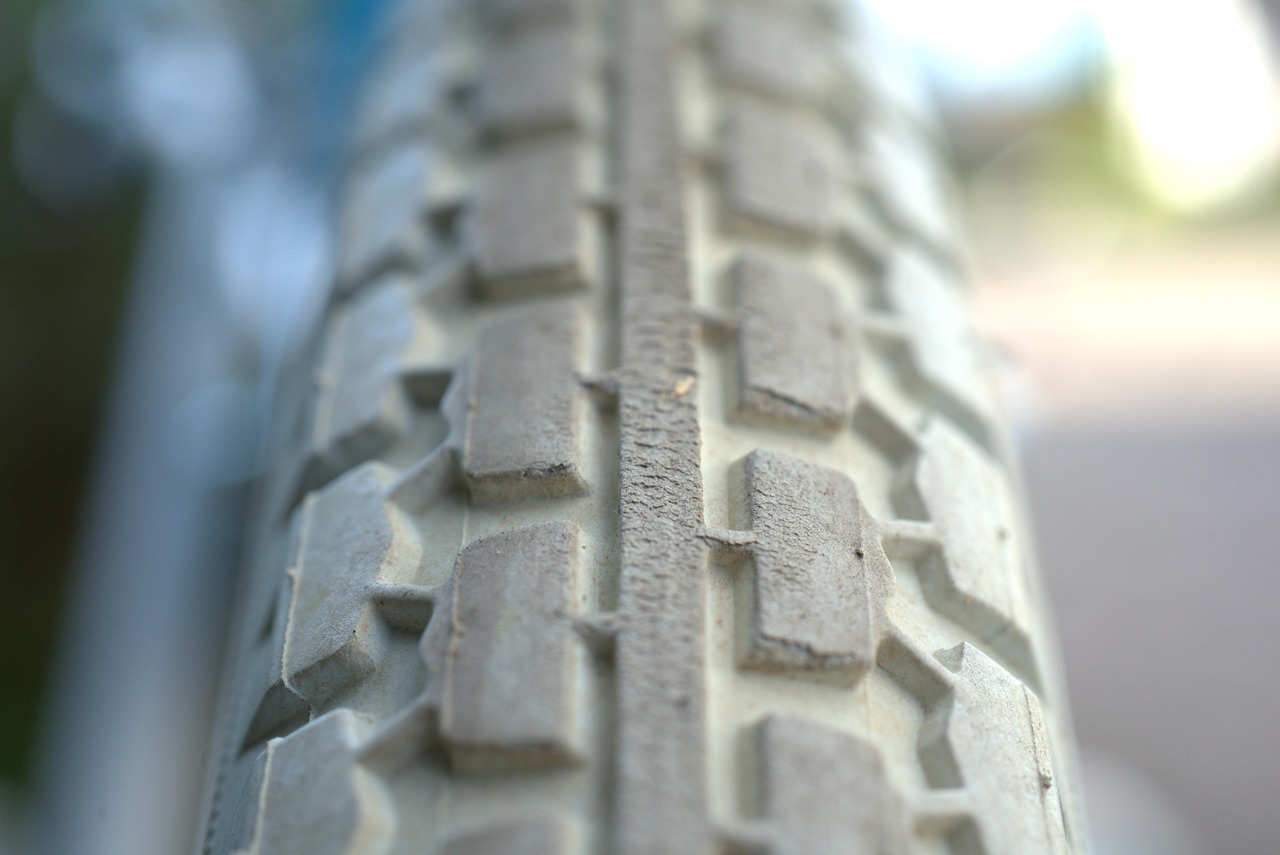 白萝卜市场深度解析,行情、走势与种植前景分析